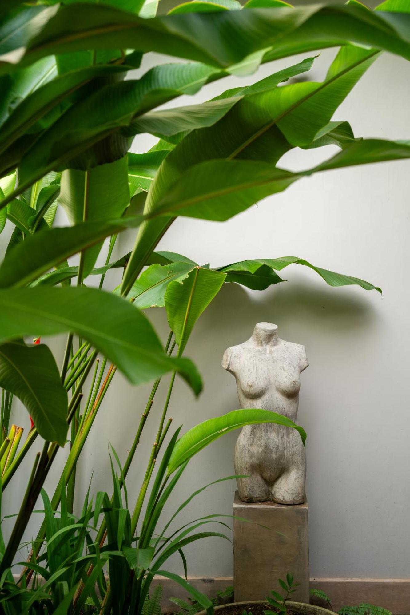 Nyne Lodge, 4* Colombo